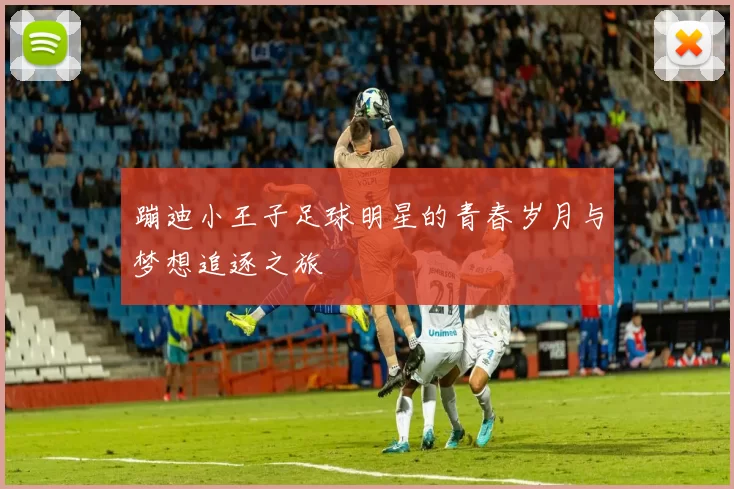 蹦迪小王子足球明星的青春岁月与梦想追逐之旅