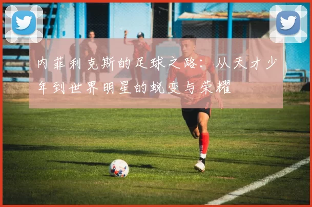 内菲利克斯的足球之路：从天才少年到世界明星的蜕变与荣耀