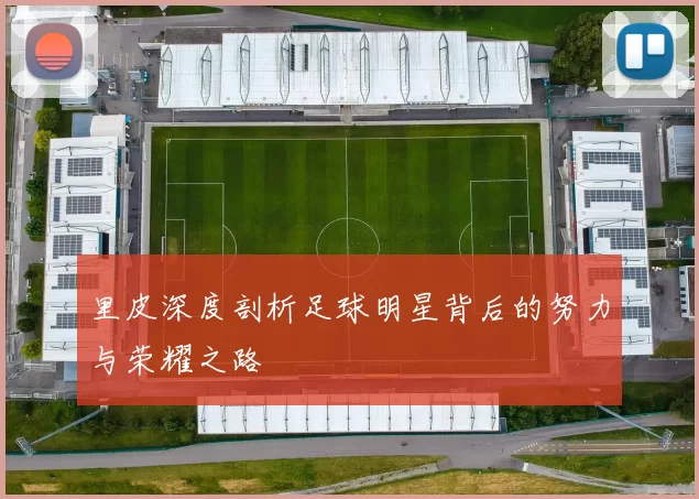 里皮深度剖析足球明星背后的努力与荣耀之路