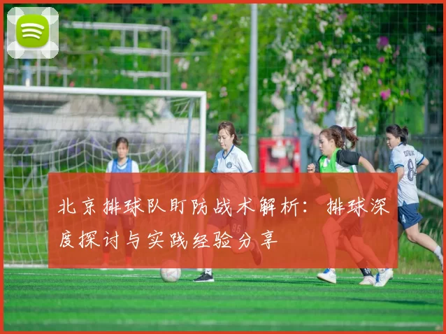 北京排球队盯防战术解析：排球深度探讨与实践经验分享