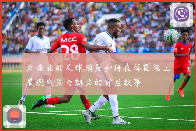 看花花的足球明星如何在绿茵场上展现风采与魅力的背后故事