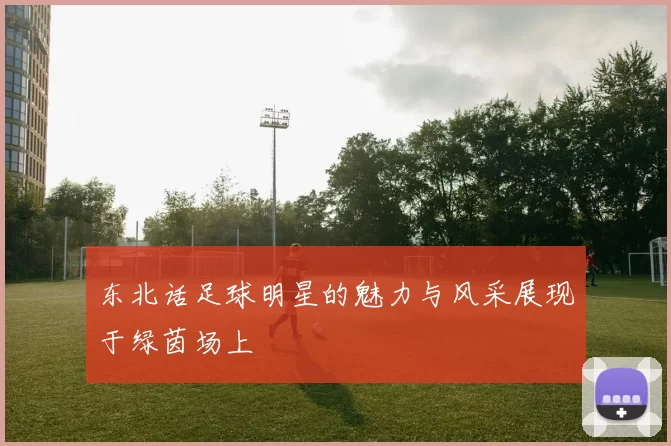 东北话足球明星的魅力与风采展现于绿茵场上