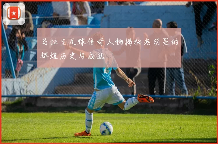 乌拉圭足球传奇人物揭秘老明星的辉煌历史与成就