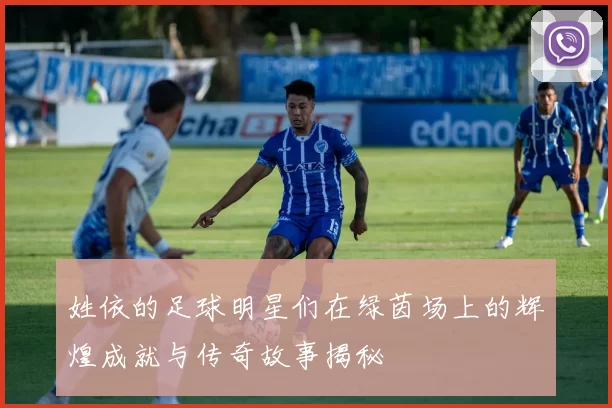 姓依的足球明星们在绿茵场上的辉煌成就与传奇故事揭秘