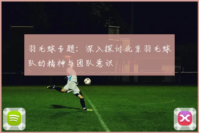 羽毛球专题：深入探讨北京羽毛球队的精神与团队意识