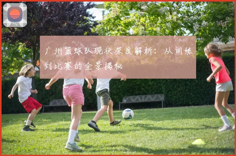 广州篮球队现状深度解析：从训练到比赛的全景揭秘