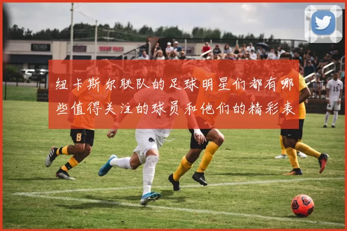 纽卡斯尔联队的足球明星们都有哪些值得关注的球员和他们的精彩表现