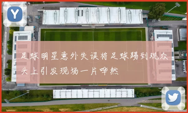 足球明星意外失误将足球踢到观众头上引发现场一片哗然