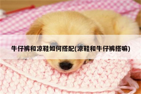 牛仔裤和凉鞋如何搭配(凉鞋和牛仔裤搭嘛)